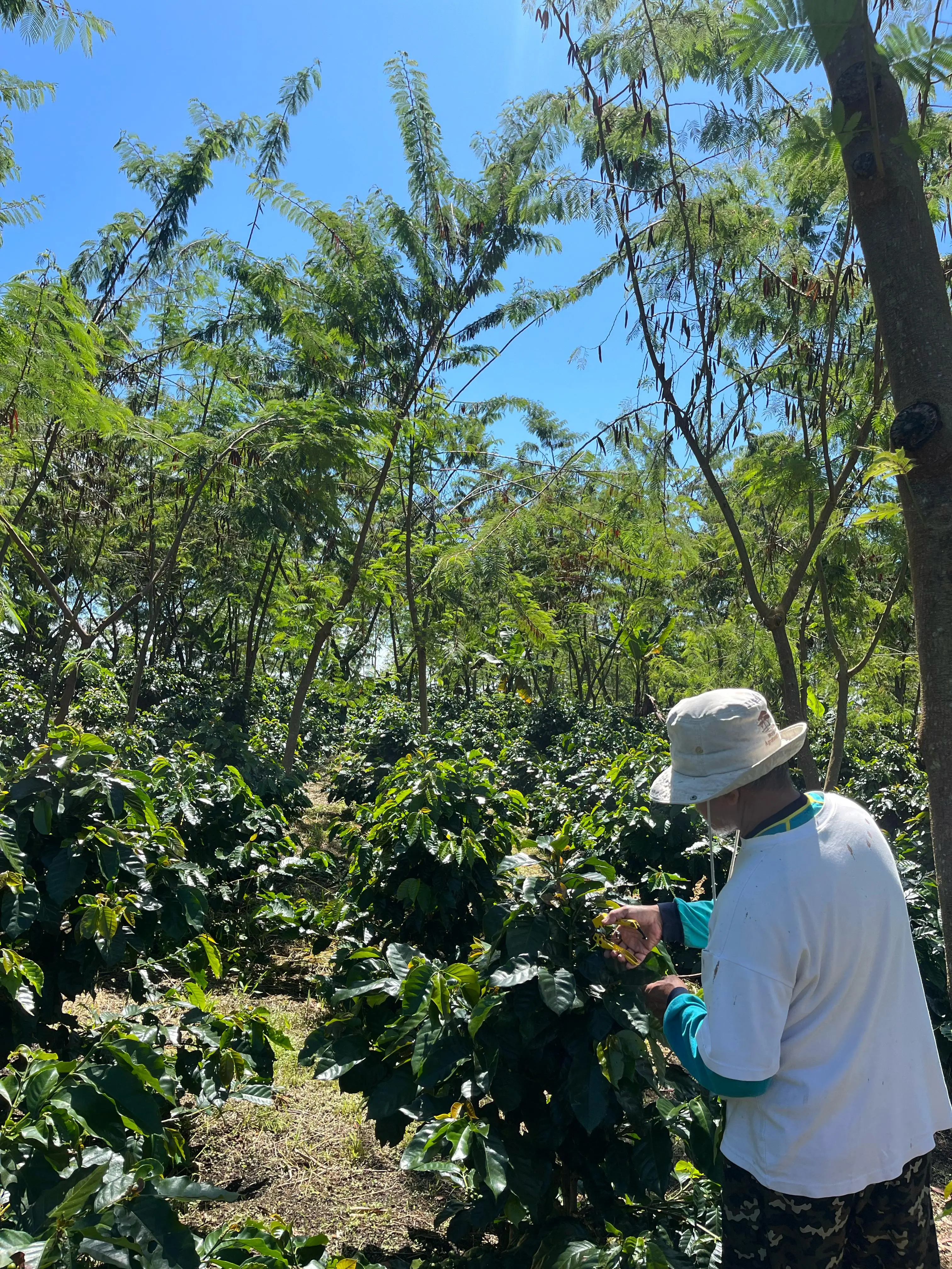 PorluCoffee with Mr. Surip Mawardi